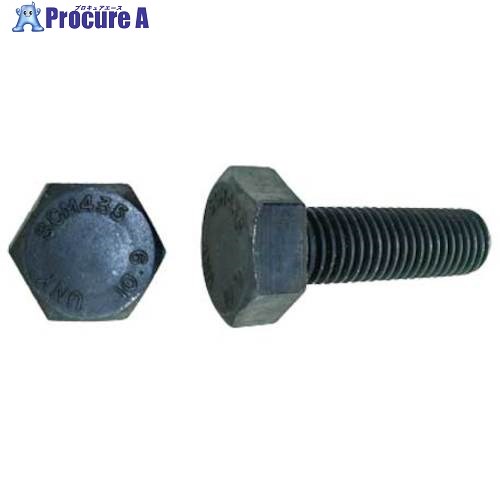 SUNCO 10.9 六角ボルト 全ネジ 1/2X45 (45本入) B0-00-0452-8040-0450-00 1箱 ■▼253-5209 【送料都度見積】