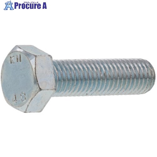 SUNCO ニッケル 六角ボルト 全ネジ 金剛製 12X40 (100本入) B0-00-K000-0120-0400-05 1箱 ■▼255-2531 【送料都度見積】