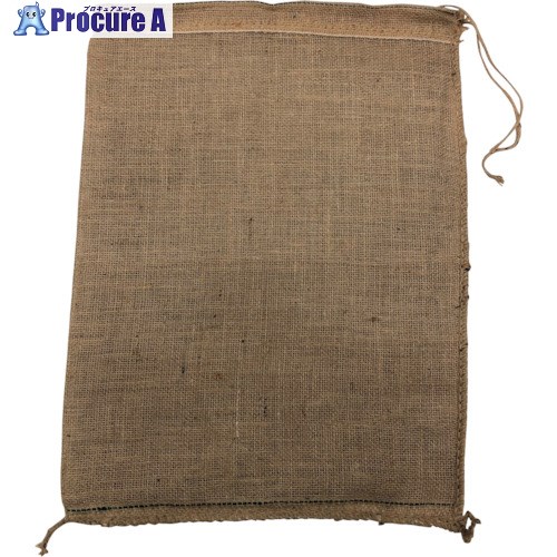 TESAC ジュートバック48X62 48X62 JB 100枚 ■▼258-6920 【送料都度見積】