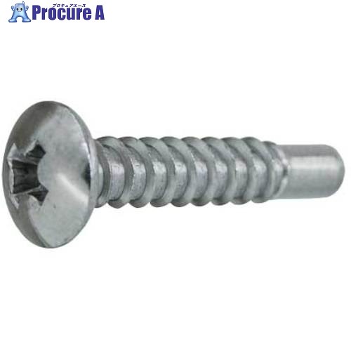 SUNCO BK ステン(＋)BRPトラス (D＝8 4×25(G＝5 (1000本入) 21-02-0508-0040-0250-08 1箱 ■▼262-5412 【貨物輸送都度積もり書き】