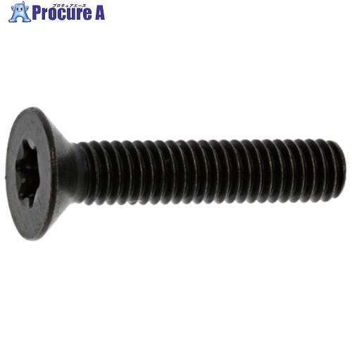 SUNCO TORX-サラCAP 新JIS 6×30 (500本入) A0-00-T2J0-0060-0300-00 1箱 ■▼270-4803 【送料都度見積】