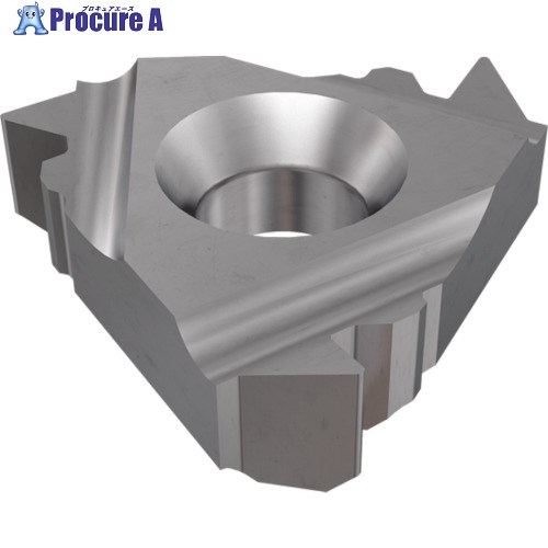 イスカル アメリカンバットレスねじ切りチップ IR/L-ABUT IC250 22UIR4ABUTIC250 5個 ■▼340-6470 【送料都度見積】 ●O585
