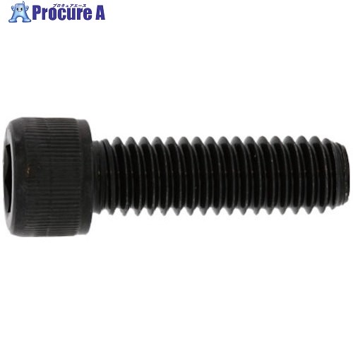SUNCO ステンCAP(UNC1/2-13X5”(1本入) A0-02-0030-8040-8500-00-1 1パック ■▼371-9571 【送料都度見積】