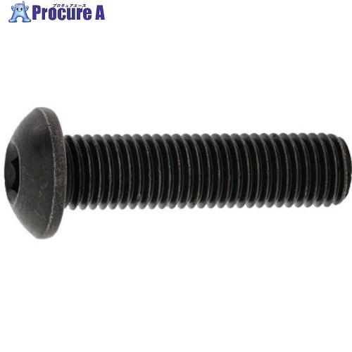 SUNCO SUSボタンCAP(UNF5/16-24X3”(1本入) A0-02-1040-8025-8300-00-1 1パック ■▼372-2699 【送料都度見積】