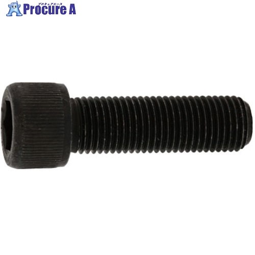 SUNCO ステンCAP(UNF18ヤマ5/8X1”1/4(1本入) A0-02-0040-8050-8120-00-1 1パック ■▼372-4358 【送料都度見積】