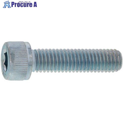 SUNCO 64チタン CAP(六角穴付きボルト) 6×45 (1本入) A0-20-0000-0060-0450-00-1 1パック ■▼377-5706 【送料都度見積】