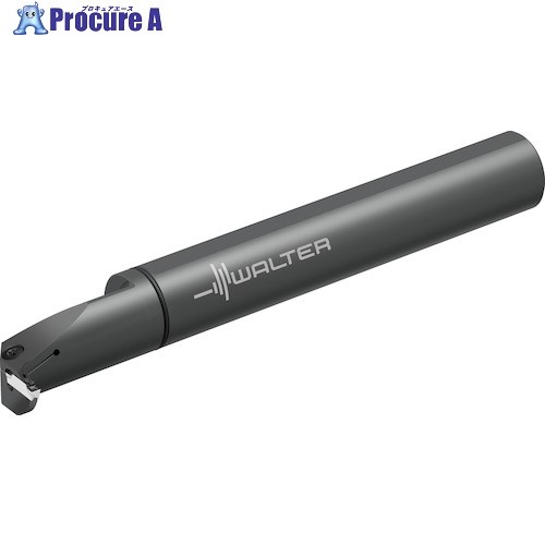 Walter ボーリングバー 内径溝加工 G4221...-P G4221-25RR-2T08-DX18-P 1個 ▼409-5271 ●O585