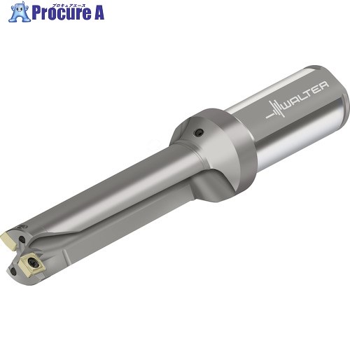 Walter チップ交換式ドリル D3120 D3120-04-42.00F40-P25 1本 ■▼411-1123 【送料都度見積】 ●O585