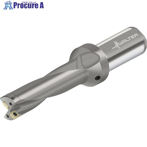 Walter チップ交換式ドリル D4120 D4120-04-36.00F32-P46 1本 ■▼412-6833 【送料都度見積】 ●O585