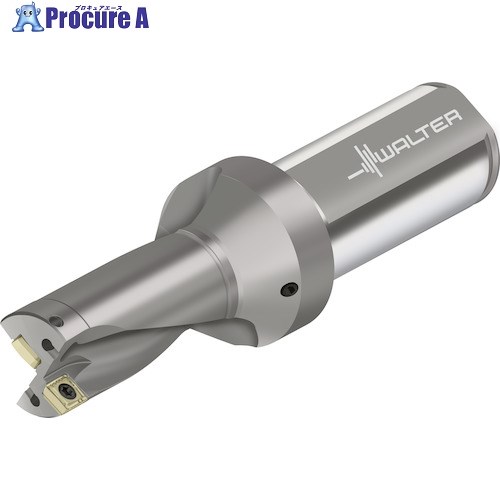 Walter チップ交換式ドリル D4120 D4120.02-15.47F19-P41 1本 ■▼412-6834 【送料都度見積】 ●O585