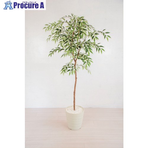 グリーンクロス 人工樹木/人工観葉植物 シラカシ 6300028764 1個 ■▼412-7780 ※個人宅様送り不可 29,325円