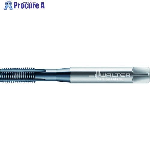Prototyp HSS-E-PM マシンタップ E2031456-M10 1本 ■▼416-6781 【送料都度見積】 ●O585