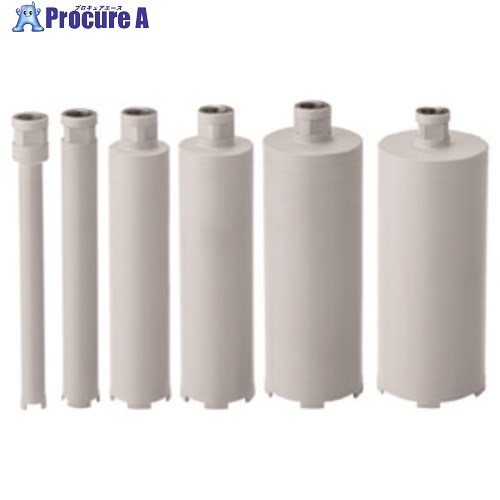 Hakken 乾式コアビット ドライワン Cロッド Φ100×260L C DRY1-C-100-260-C 1本 ■▼420-9272 【送料都度見積】