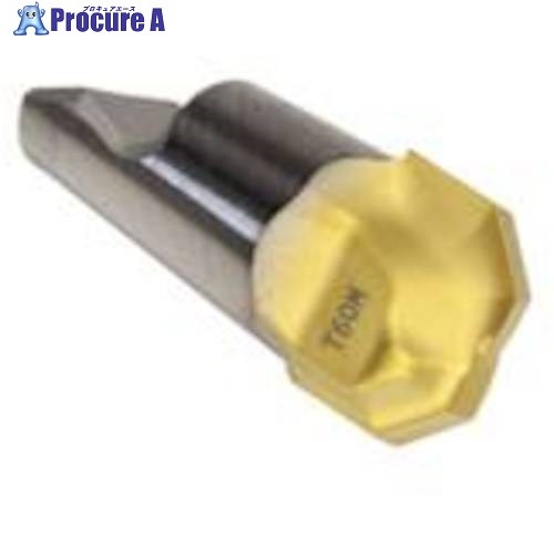 セコ フライス ミニマスターヘッド MM16 T60M MM16-16011-4540-E06 T60M 2個 ▼435-9023