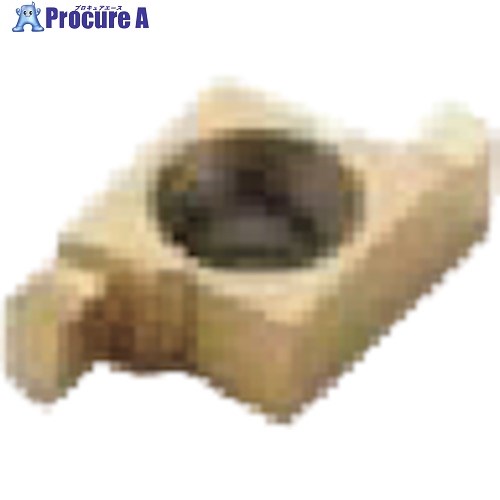 セコ 旋削用  溝入れ用さし入れる CP30 20NR5.0FG  CP30 2個 ■▼484-6955 【貨物輸送都度積もり書き】