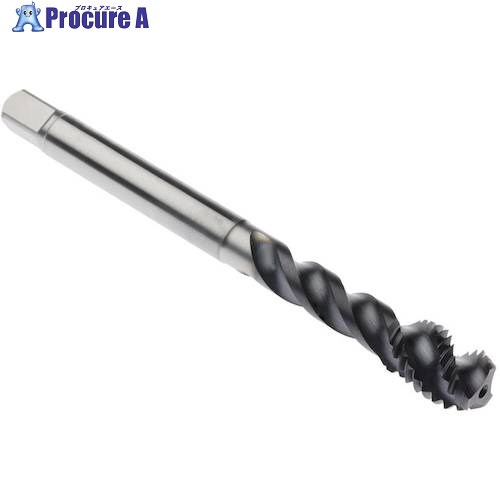 セコ タップ MTH-M20X2.50ISO6HX-BC-P004-A 1個 ■▼488-9523 【送料都度見積】 24,903円