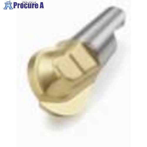 セコ フライス ミニマスターヘッド F15M MM12-16016-B120PF-M03 F15M 2個 ■▼488-9580 【送料都度見積】