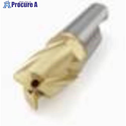 セコ フライス ミニマスターヘッド F30M MM08-08009-R10A30-E03 F30M 2個 ■▼490-3776 【送料都度見積】 10,161円
