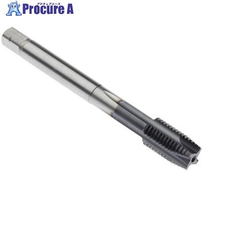 セコ タップ MTP-M14X1.50ISO6HX-TB-P011 1個 ■▼490-9973 【送料都度見積】