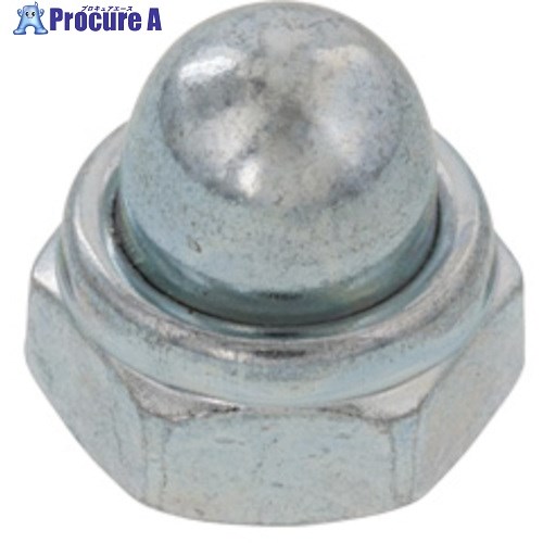 SUNCO ニッケル セルフロッキングナット CAP付 M10 (200本入) N0-00-070C-0100-0000-05 1箱 ■▼502-6496 【送料都度見積】