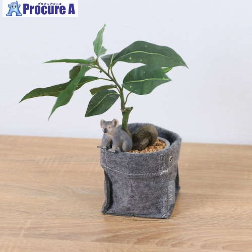 グリーンクロス パキラフェルトポットコアラ 全長32cm 6300036517 1個 ■▼506-1907 ※個人宅様送り不可