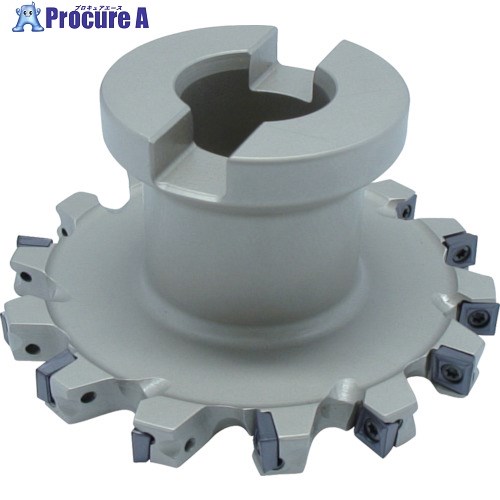 イスカル ヘリクアッド チップ交換式スロッター FDN FDN D125-10-32-R06 1個 ■▼517-6697 【送料都度見積】 ●O585その他