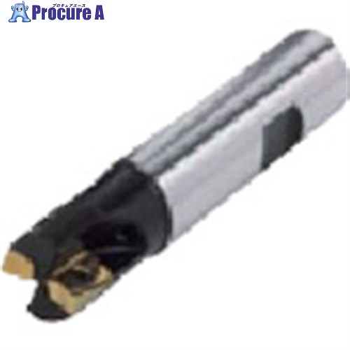 イスカル ヘリ2000 エンドミル HM90 E90AD HM90 E90AD-D25-2-W25-XL 1個 ■▼518-4941 【送料都度見積】 ●O585