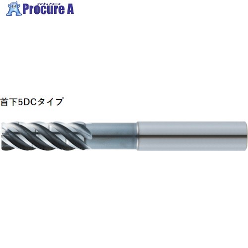 MOLDINO 高能率側面切削用エンドミル ER5HS20-100-PN 1本 ■▼523-2758 【送料都度見積】