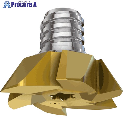 イスカル マルチマスター 裏面取り対応ヘッド MM GRITダブテイル IC908 MM GRIT 28K-60D-6T10 IC908 2個 ■▼523-4631 【送料都度見積】 ●O585