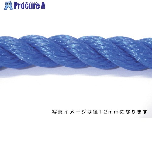 グリーンクロス ポリエチレンロープ 青 10mm 100m巻 6300040560 1巻 ■▼530-1655 ※個人宅様送り不可