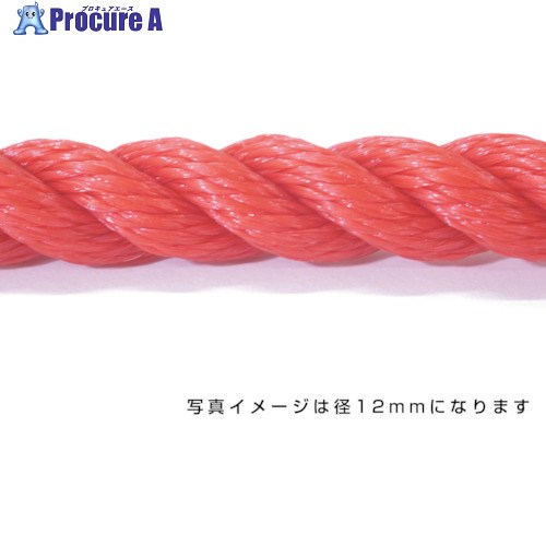 グリーンクロス ポリエチレンロープ 赤 4mm 200m巻 6300040531 1巻 ■▼531-1188 ※個人宅様送り不可