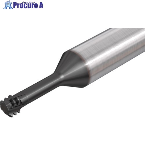 イスカル 超硬ソリッドエンドミル MTECS-ISO IC908 MTECS0606C24 1.25ISO-L908 1本 ■▼570-3311 【送料都度見積】 ●O585