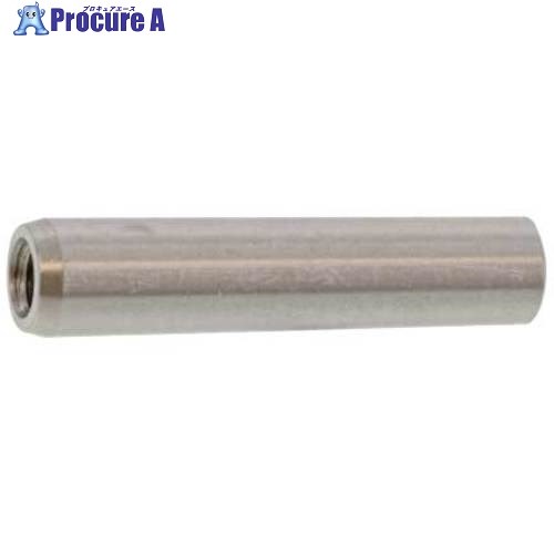 SUNCO SUS 内ネジ付きテーパーピン 5 X 30(M3 (100本入) D0-02-0201-0050-0300-00 1箱 ■▼578-3409 【送料都度見積】