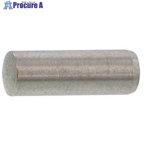 SUNCO SUS316 平行ピン(A種 5X10 (500本入) D0-11-010A-0050-0100-00 1箱 ■▼578-4993 【送料都度見積】