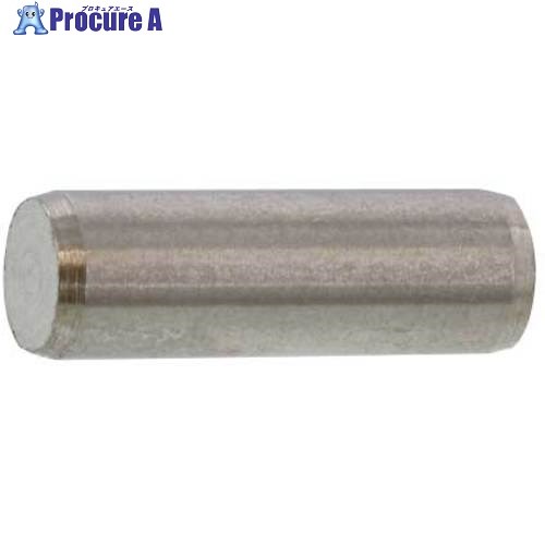 SUNCO SUS 平行ピン(B種 8 X 16 (100本入) D0-02-010B-0080-0160-00 1箱 ■▼578-6559 【送料都度見積】