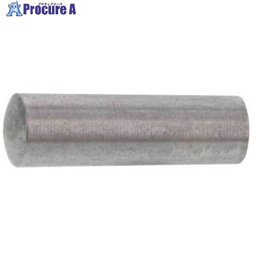 SUNCO SUS テーパ-ピン 12X180 (25本入) D0-02-0200-0120-1800-00 1箱 ■▼580-7299 【送料都度見積】