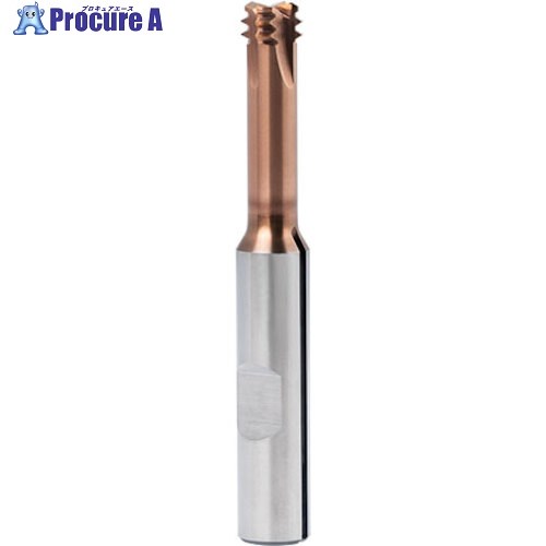 GUHRING 底刃付きマイクロ スレッドミーリングカッタ シャンク油溝付き M20 4002 20.000 1本 ■▼581-3718 【送料都度見積】 34,601円