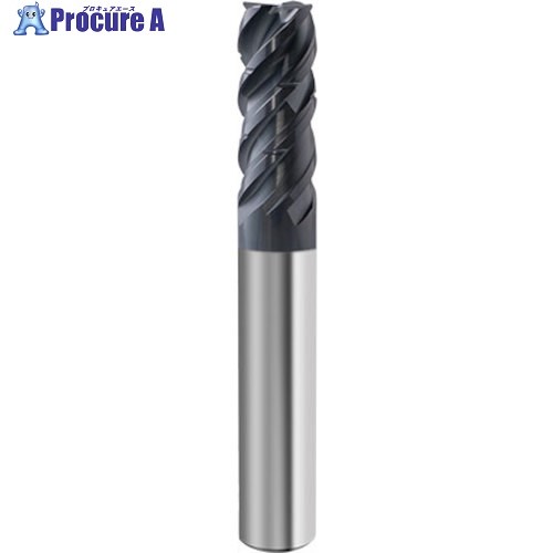 GUHRING 4枚刃高能率スクエアエンドミル レギュラ 不等分割 RF100 Speed P 12mm 6958 12.000 1本 ■▼584-7807 【送料都度見積】