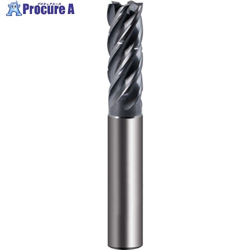 GUHRING 5枚刃高能率スクエアエンドミル レギュラ 不等分割 RF100 5 Speed 10mm 6856 10.000 1本 ■▼584-9409 【送料都度見積】