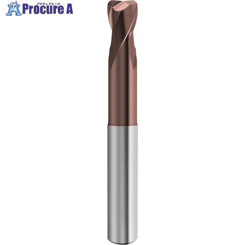 GUHRING 2枚刃トーラスエンドミル G-Mold 55 T ロング 4mm 6851 4.005 1本 ■▼585-9520 【送料都度見積】