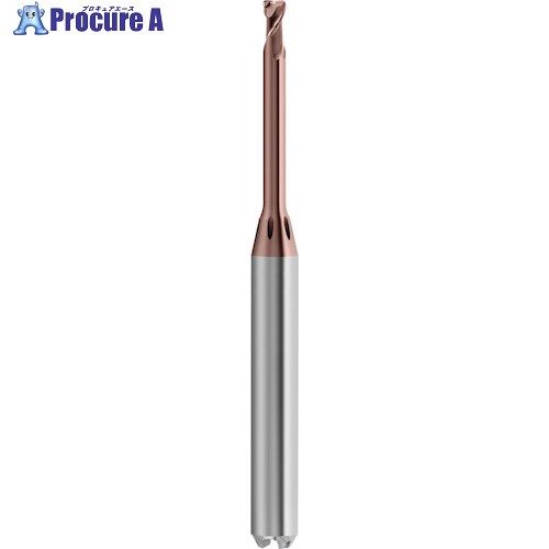 GUHRING 2枚刃高精度トーラスエンドミル G-Mold マイクロ 65 T レギュラ 0.6mm 6823 0.600 1本 ■▼585-9533 【送料都度見積】