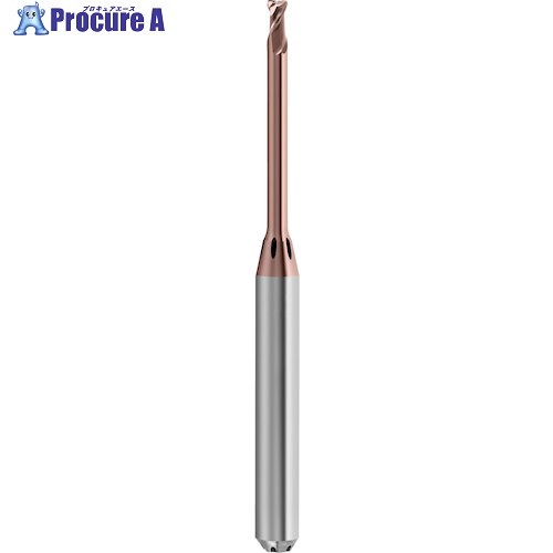 GUHRING 2枚刃高精度トーラスエンドミル G-Mold マイクロ 65 T レギュラ 1mm 6824 1.002 1本 ■▼585-9544 【送料都度見積】
