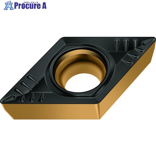 Walter 旋削加工用チップ 55°菱形ポジチップ WPP30G DCMT070204-RP4 WPP30G 10個 ▼608-7479 ●O585