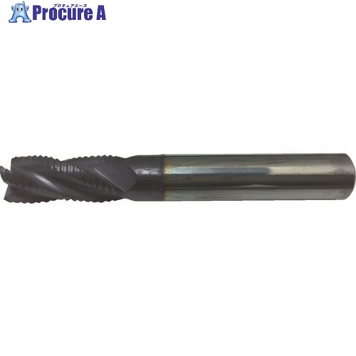 イスカル ソリッドシュレッド 超硬ソリッドエンドミル ERF IC900 ERF100A22-4C10 IC900 1本 ▼623-0661 ●O585
