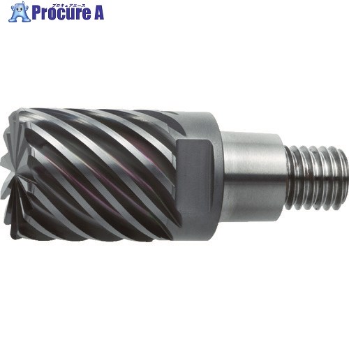 三菱 12枚刃難削材加工用 超硬多刃制振ラジアスヘッド20mm (コート品) EP7020 IMX20C12HV200R10021 EP7020 1個 ▼664-6247 ●SI517