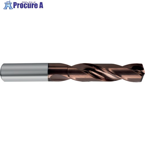 GUHRING 超硬ストレートシャンクドリル5xD用10.32mm 8513 10.320 1本 ■▼682-7918 【送料都度見積】