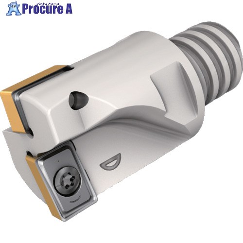 イスカル エンドミルカッター クイックDミル MDR MMT-JHP MDR D20/.79-2-MMT12-09JHP 1個 ▼698-4069 ●O585