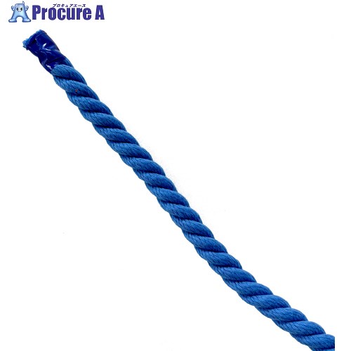 グリーンクロス エステルスパンカラーロープ 青 10mm×100m 6300063371 1巻 ■▼698-5361 ※個人宅様送り不可