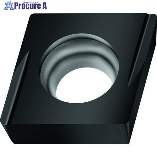 Walter 旋削加工用チップ 80°菱形ポジチップ サーメット WEP01C CCGT09T304MR-FX4 WEP01C 10個 ▼700-0121 ●O585