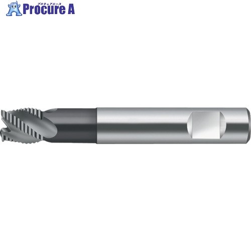 Prototyp エンドミル H4189278-10 1個 ■▼803-0631 【送料都度見積】 ●O585